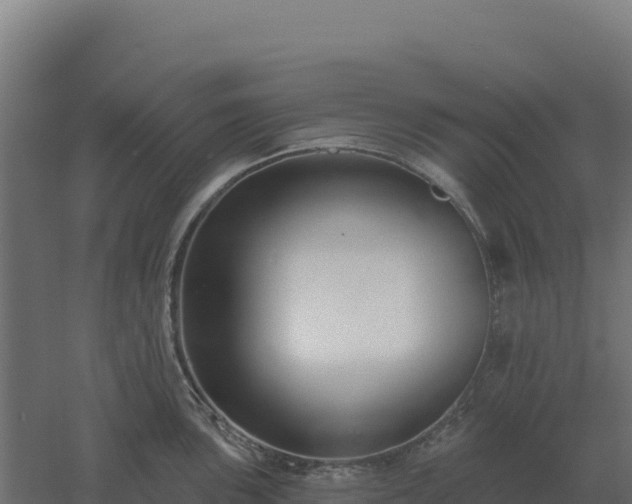 X0000061151051200511241826