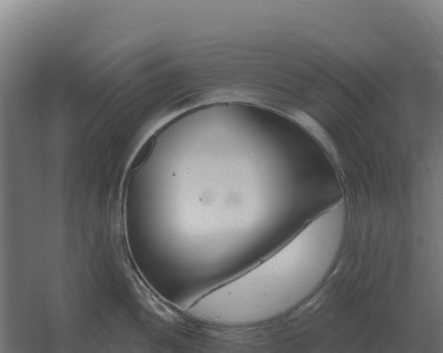 X0000061151052200511241826