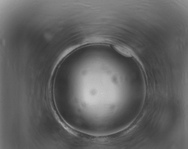 X0000061151053200511241826