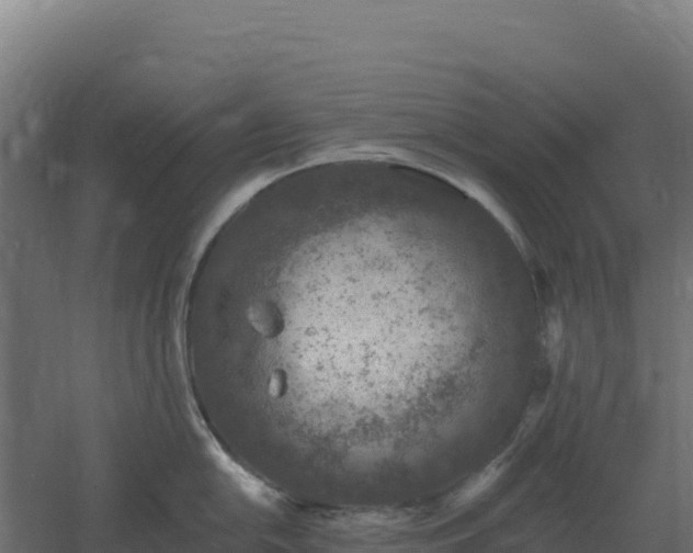 X0000061151054200511241826