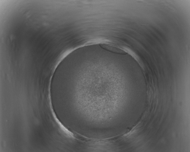 X0000061151055200511241826