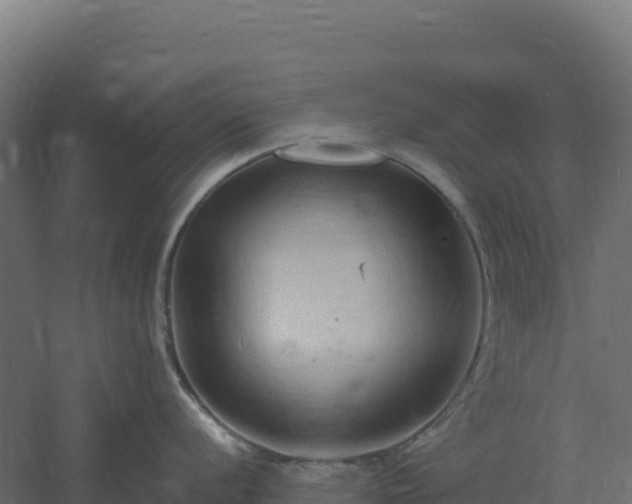 X0000061151056200511241826