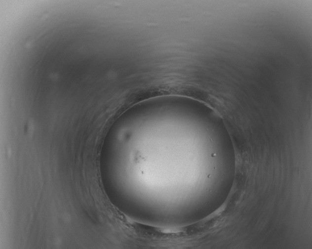 X0000061151057200511241825