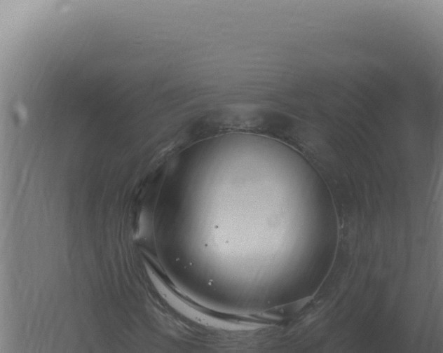 X0000061151058200511241825