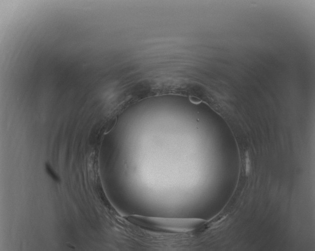 X0000061151059200511241825