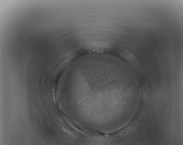 X0000061151060200511241825