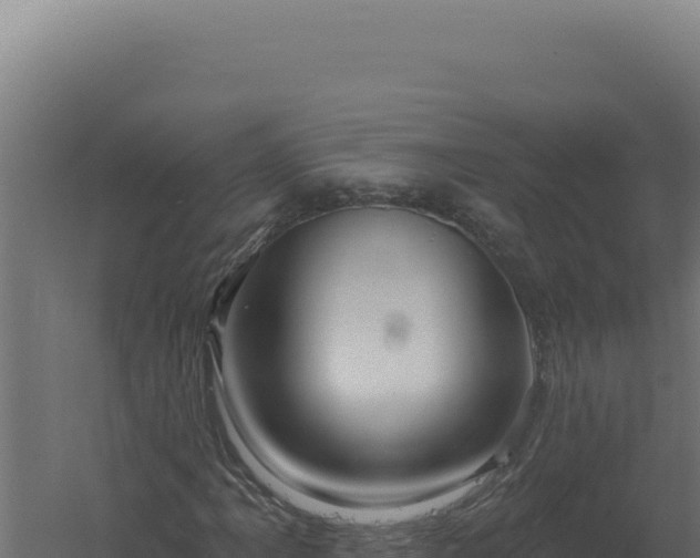 X0000061151061200511241825