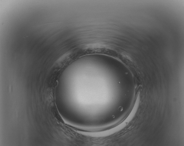 X0000061151062200511241825