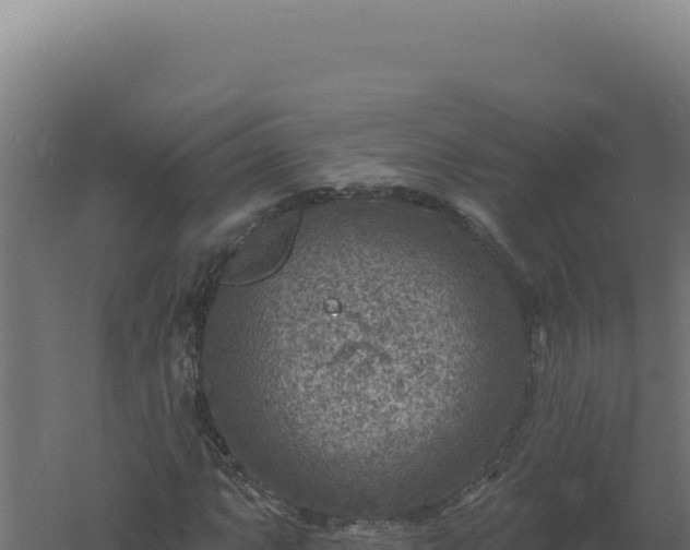 X0000061151063200511241825