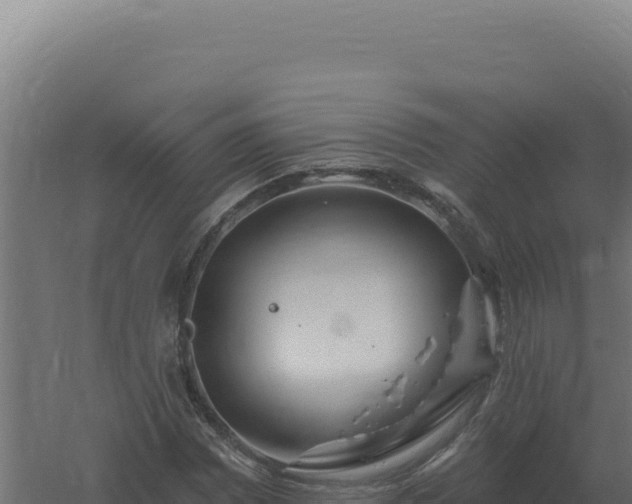 X0000061151065200511241825