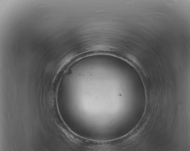 X0000061151067200511241825