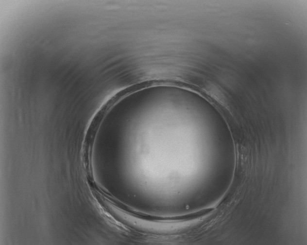 X0000061151068200511241825