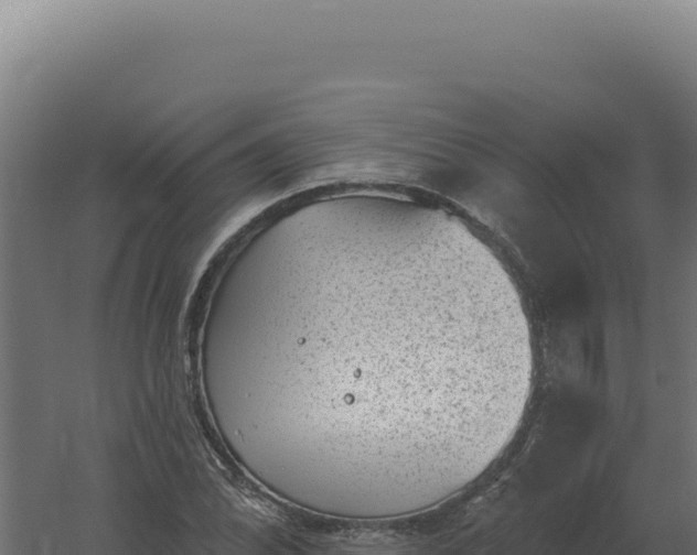 X0000061151070200511241825