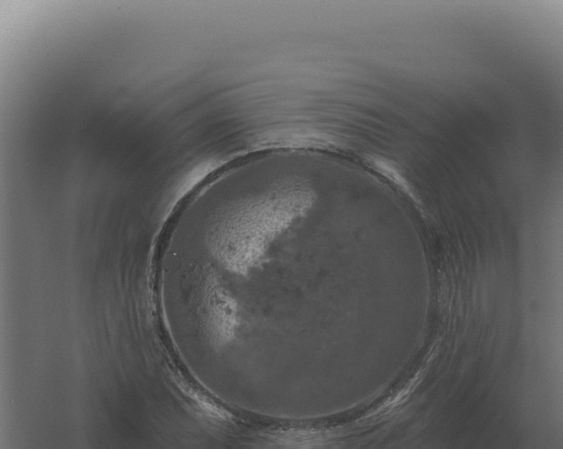 X0000061151071200511241825