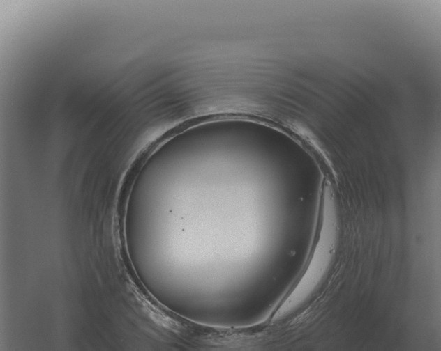 X0000061151072200511241825