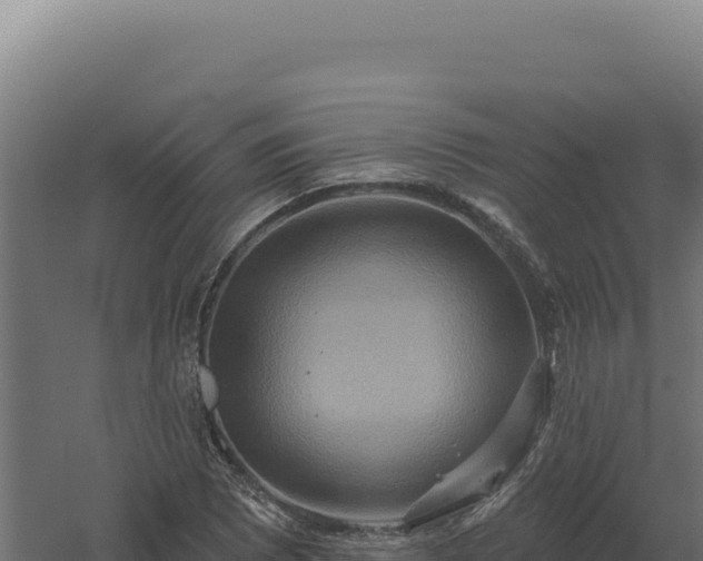 X0000061151073200511241825