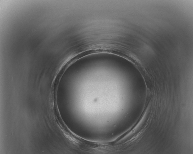 X0000061151075200511241824