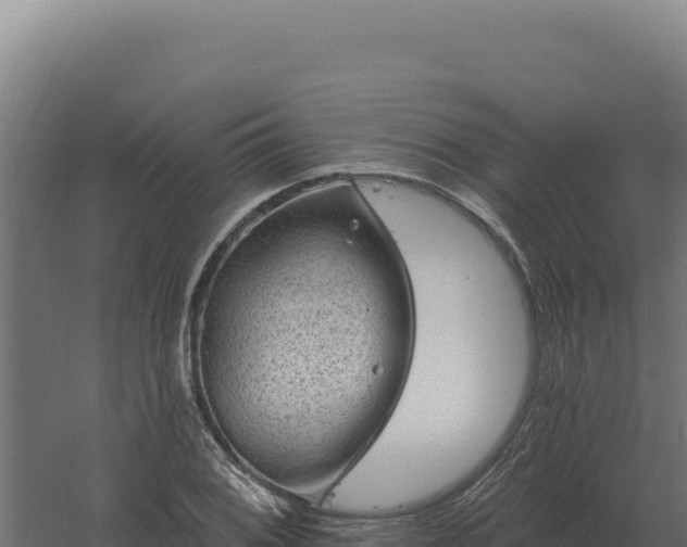 X0000061151076200511241824