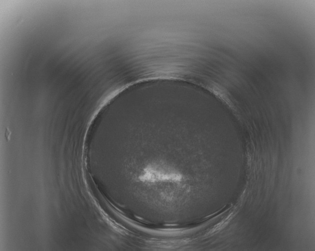 X0000061151077200511241824