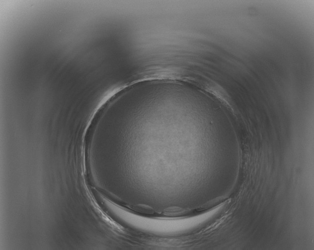 X0000061151079200511241824