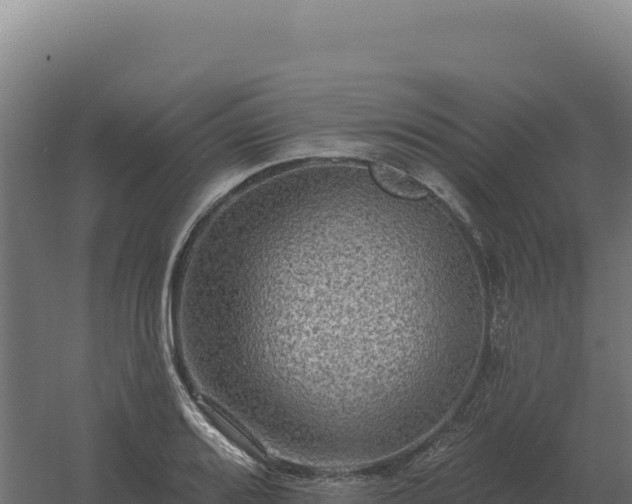 X0000061151080200511241824