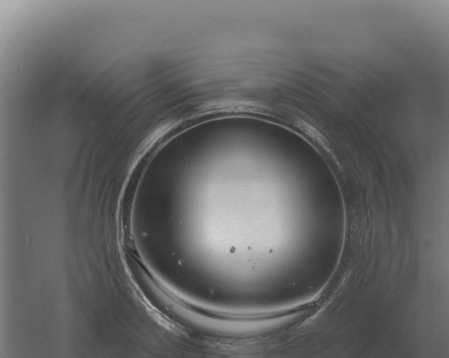 X0000061151082200511241824