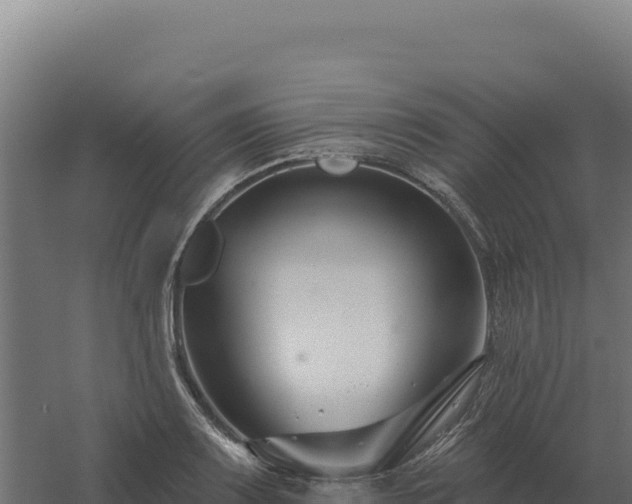 X0000061151083200511241824