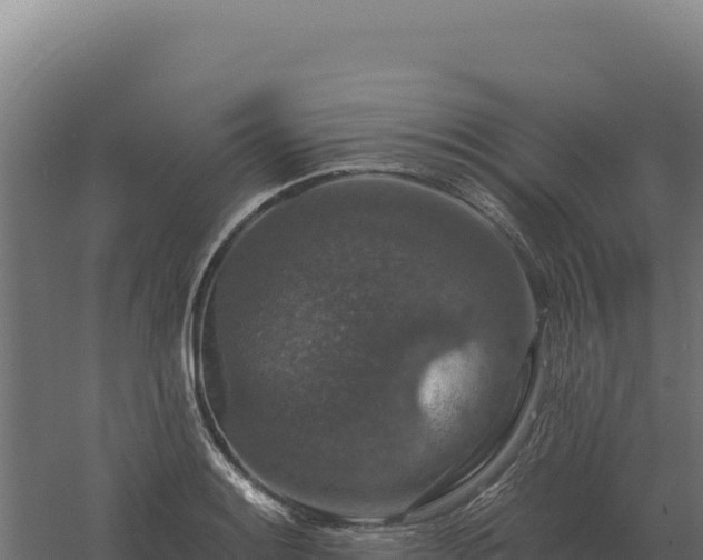 X0000061151084200511241824