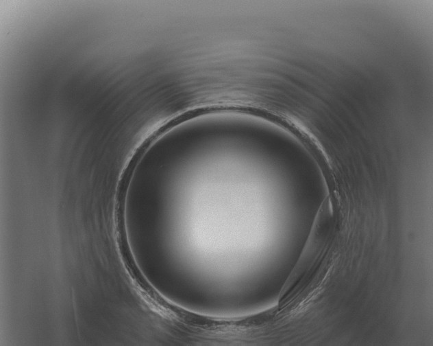 X0000061151085200511241824