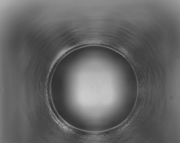 X0000061151086200511241824