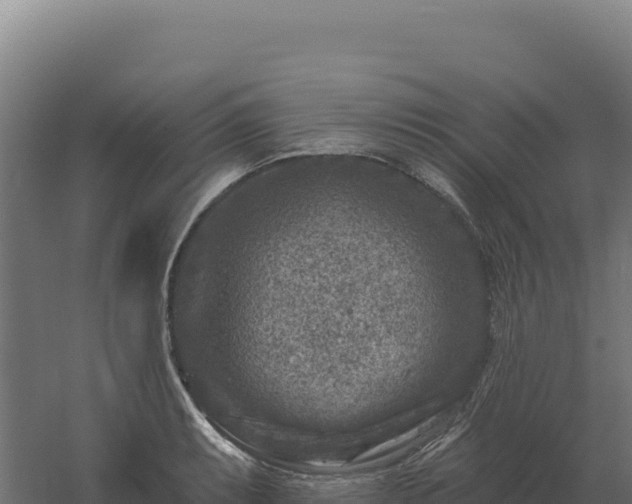 X0000061151087200511241824