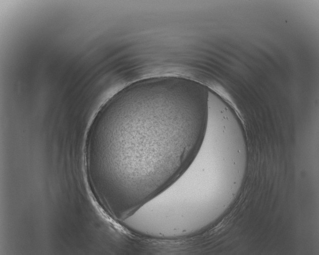 X0000061151088200511241824