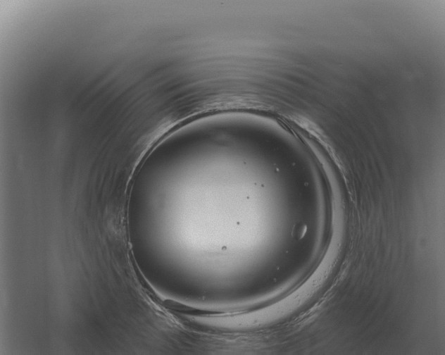 X0000061151089200511241824