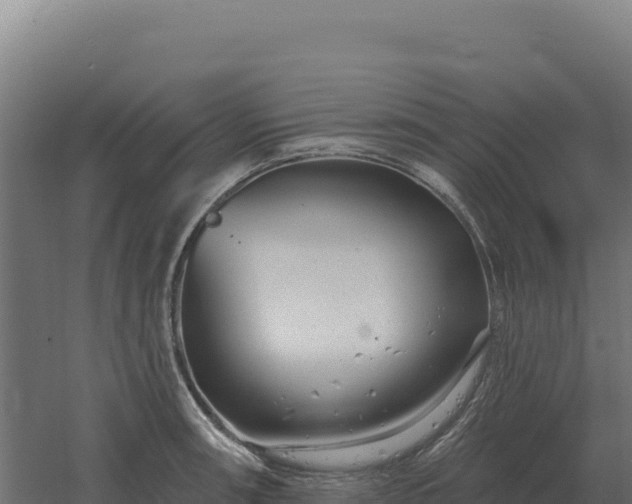 X0000061151090200511241824