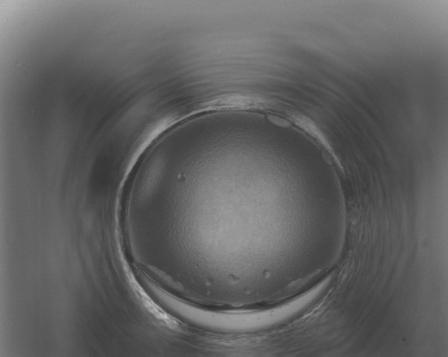 X0000061151091200511241824