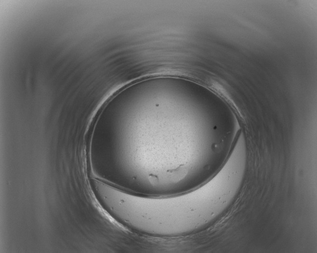 X0000061151092200511241824