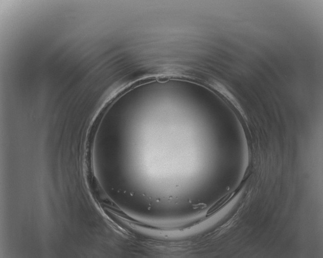 X0000061151093200511241824