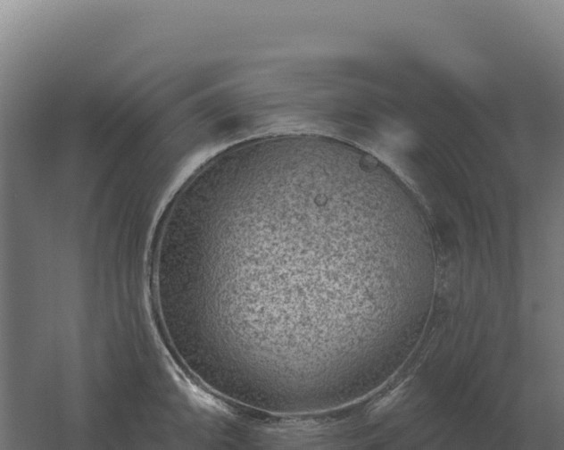 X0000061151094200511241824