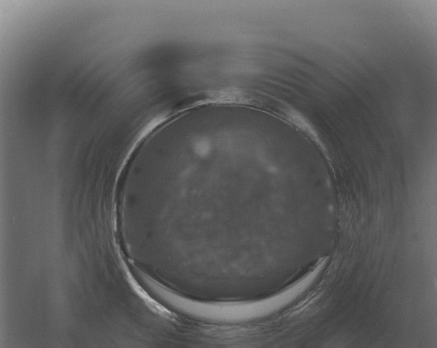 X0000061151095200511241824