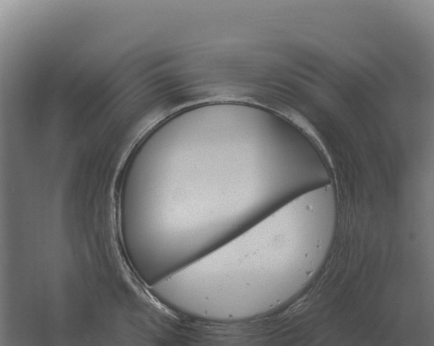 X0000061151096200511241824