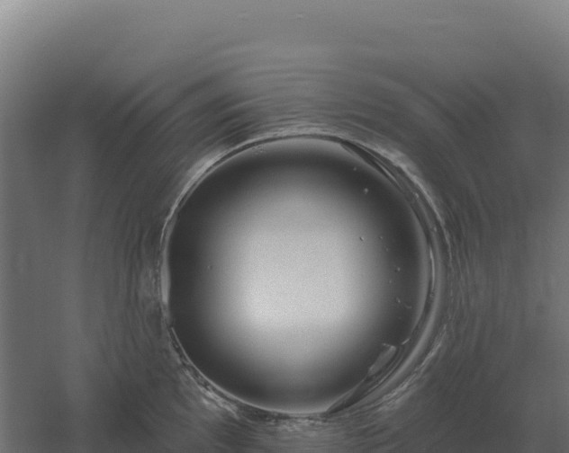 X0000061151097200511241824