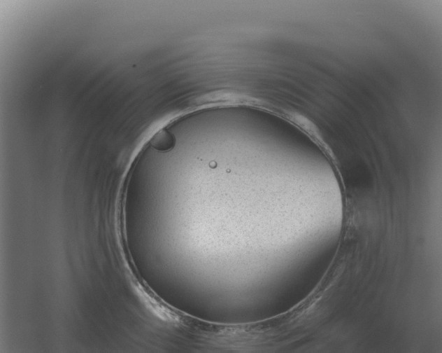 X0000061151098200511241824