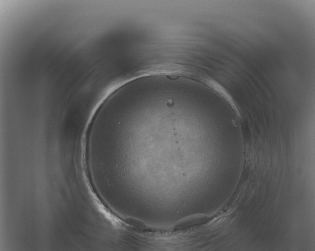 X0000061151099200511241824