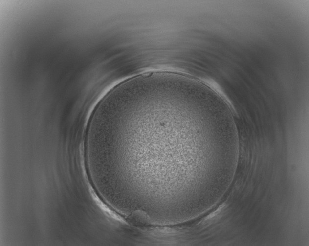 X0000061151100200511241824