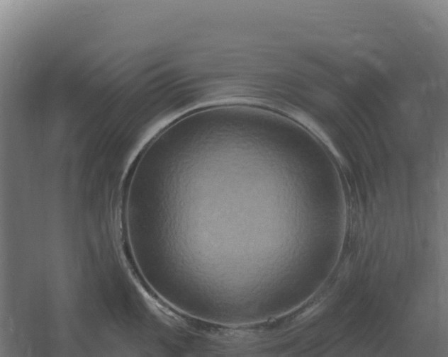 X0000061151101200511241824