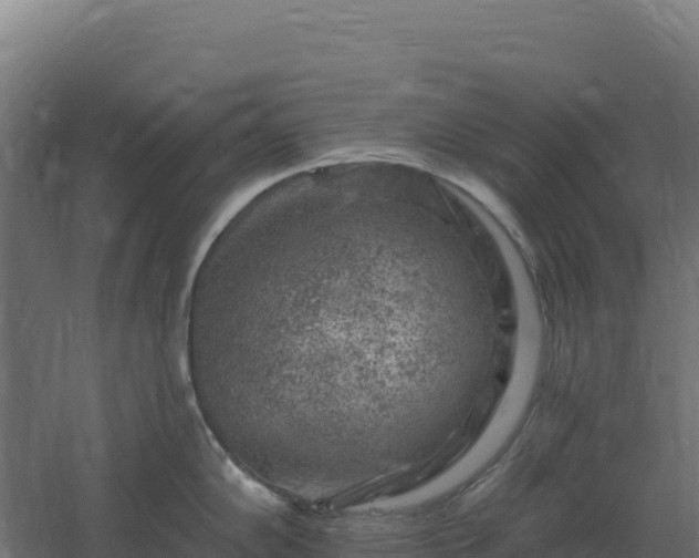 X0000061151102200511241824