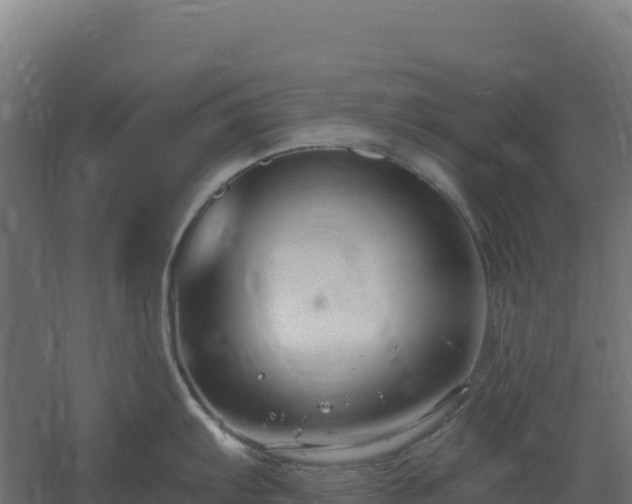 X0000061151103200511241824