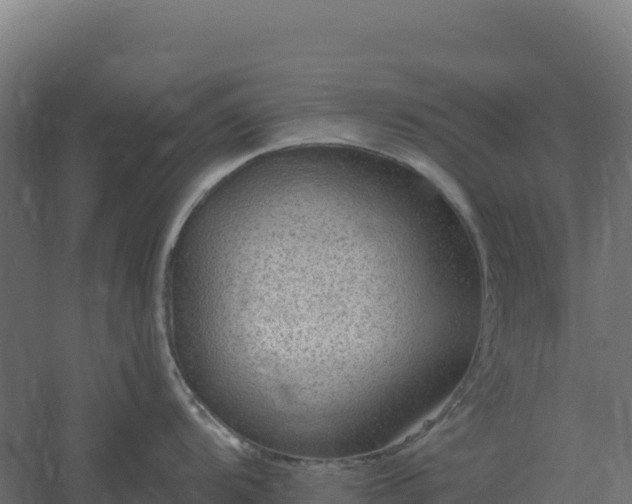 X0000061151104200511241824