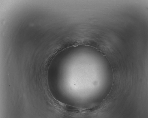 X0000061151105200511241823