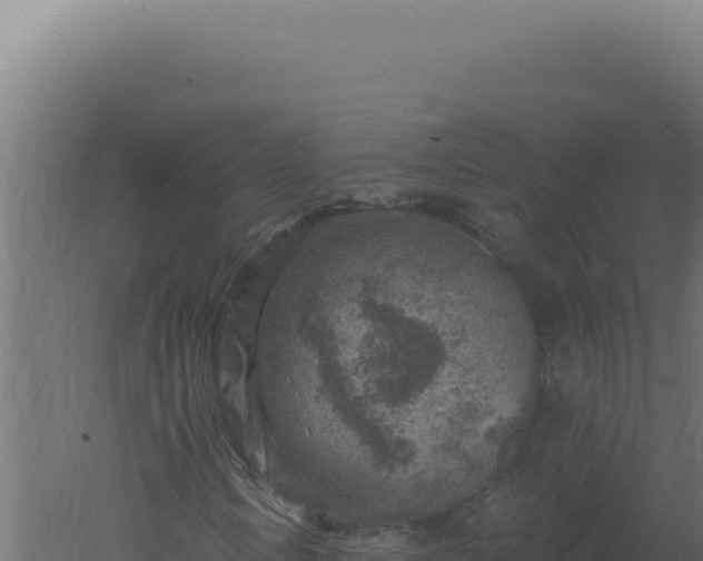 X0000061151106200511241823